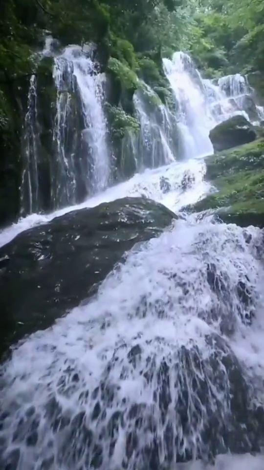 组装机械警暴龙