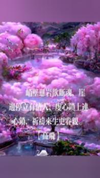拯救小萌虎